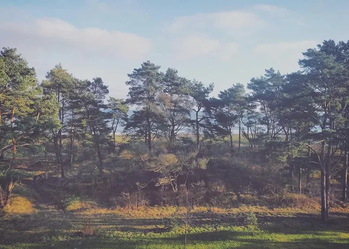 Gruene Duene Mee_h_rbli شقة *